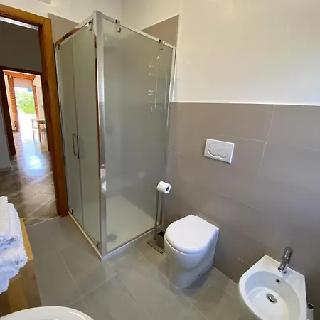 Cycas House 奥尼萨诺